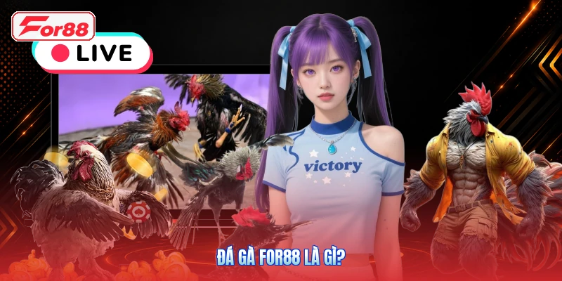 Đá gà FOR88 là gì?
